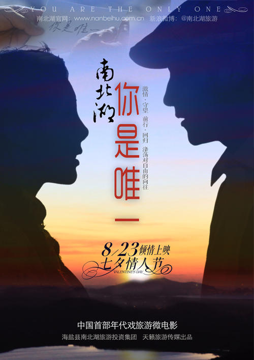 做假斯洛伐克ID